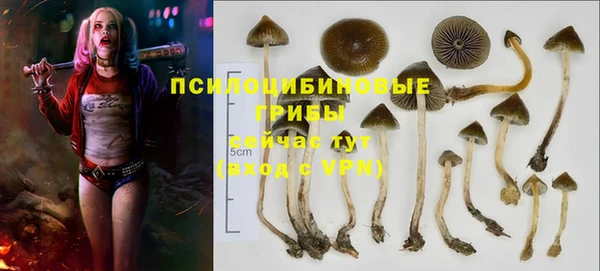 первитин Михайловка