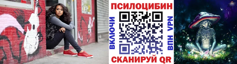 Псилоцибиновые грибы Psilocybine cubensis  Калач 